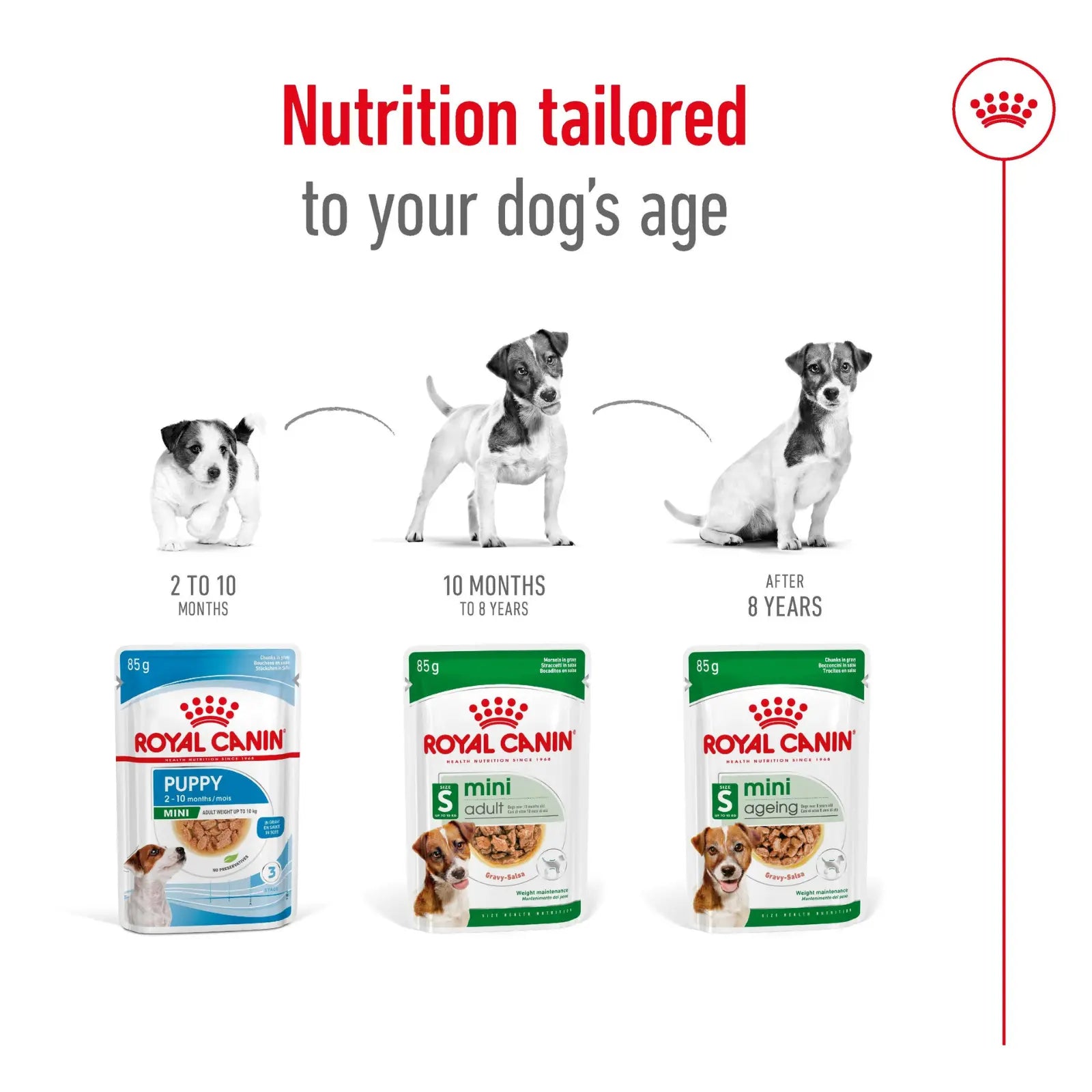 Royal Canin Dog Food Pouch Ageing 12+ Mini Royal Canin