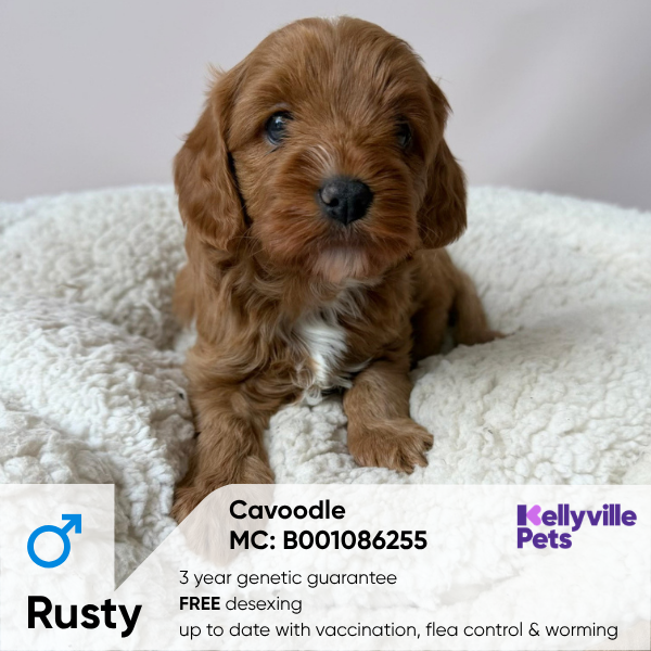 Rusty
