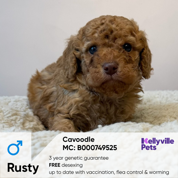 Rusty