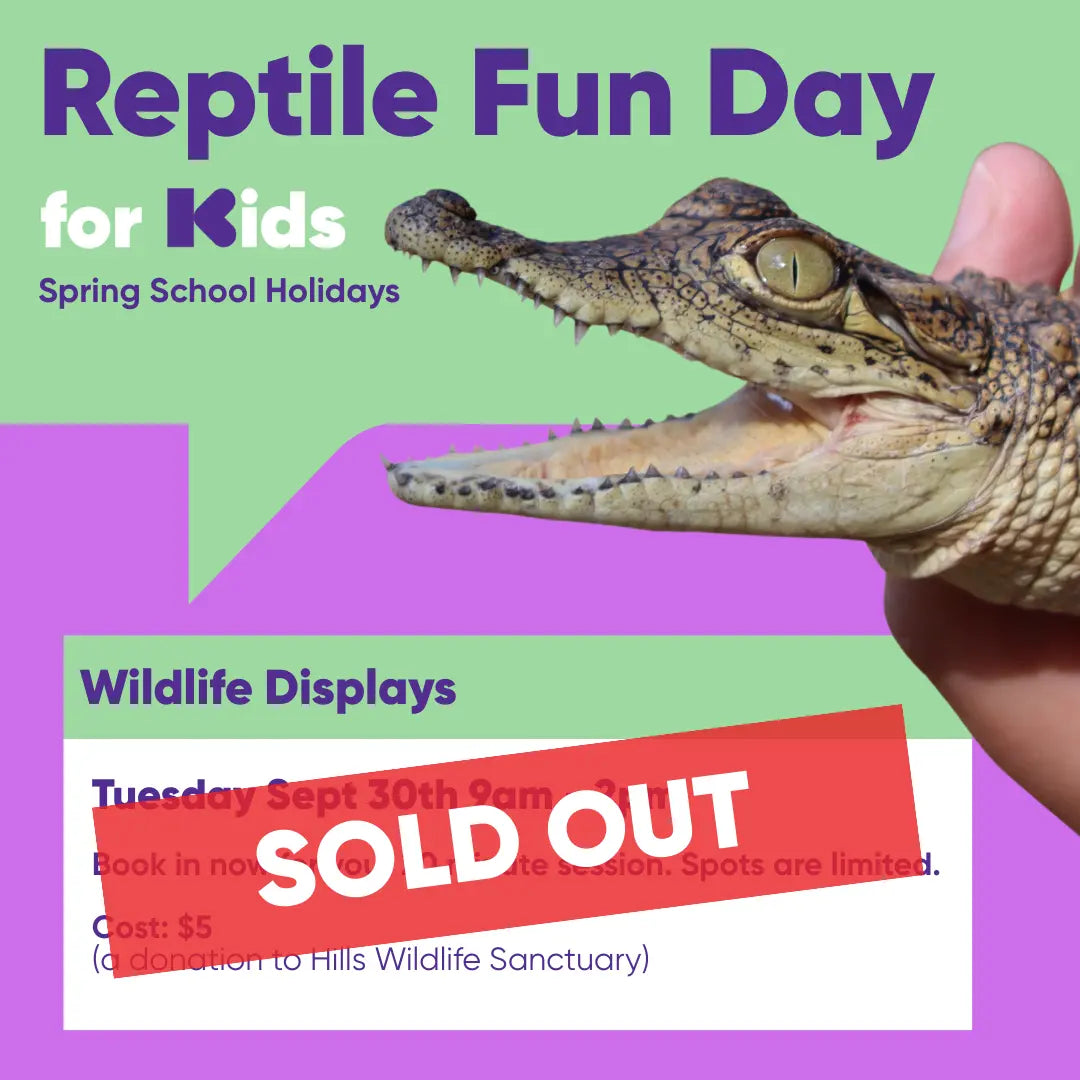 SOLD OUT - Interactive Wildlife Display Entry Not Specified