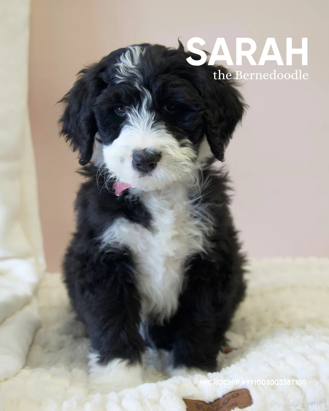 Sarah