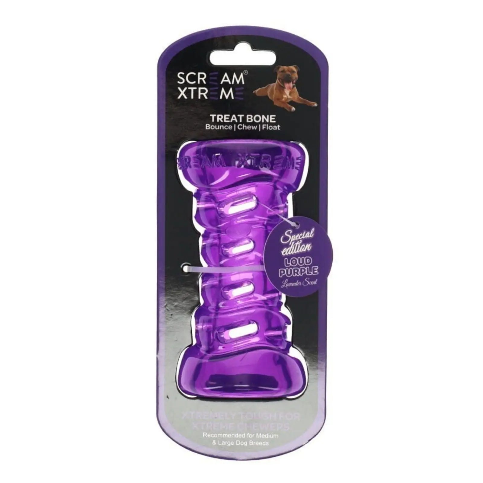 Scream Xtreme Treat Bone Loud Purple Dog Toy Scream