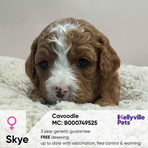 Skye