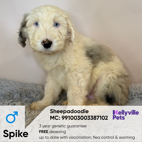 Spike