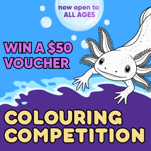 Colouring Competition