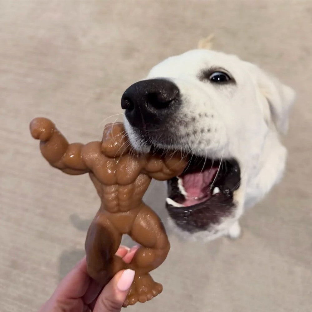 Happy Staffy Co. Staffy Schwarzenegger Tough Dog Toy