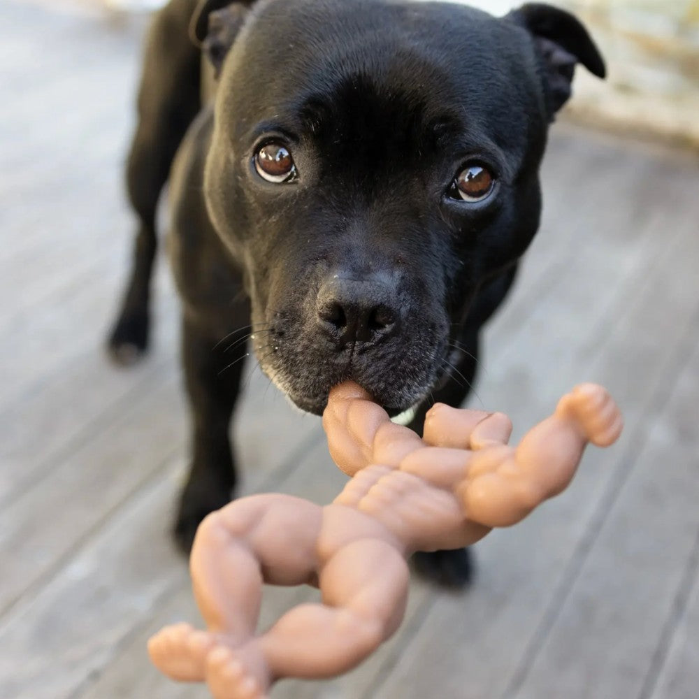 Happy Staffy Co. Staffy Schwarzenegger Tough Dog Toy