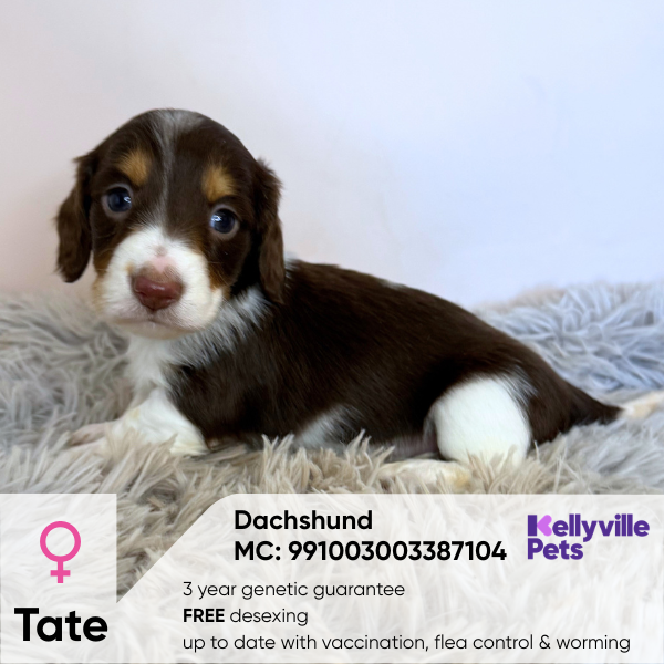Tate