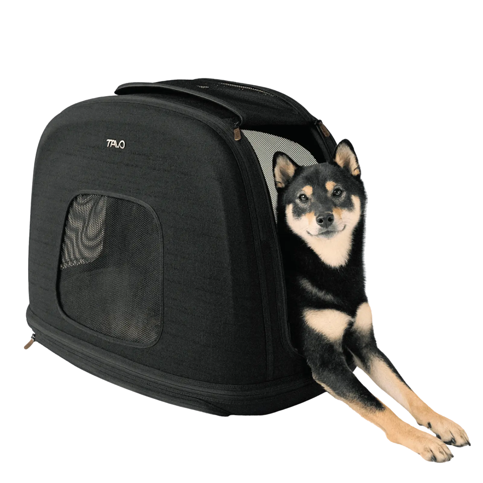 Tavo Crispin Pet Travel Crate Tavo
