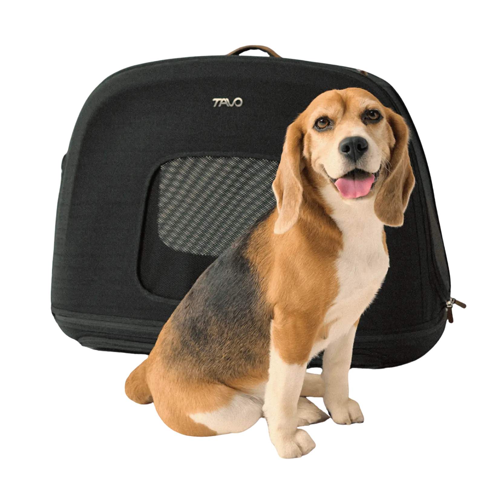 Tavo Crispin Pet Travel Crate Tavo