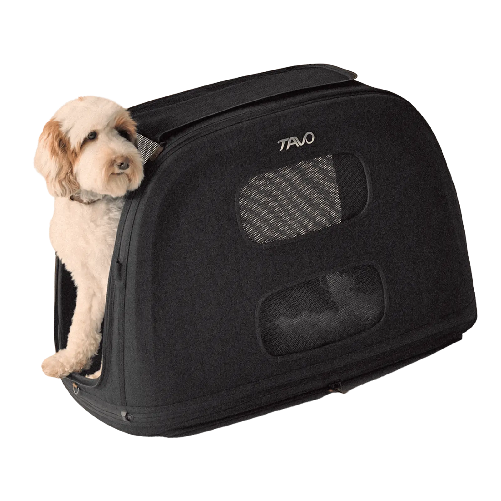Tavo Crispin Pet Travel Crate Tavo