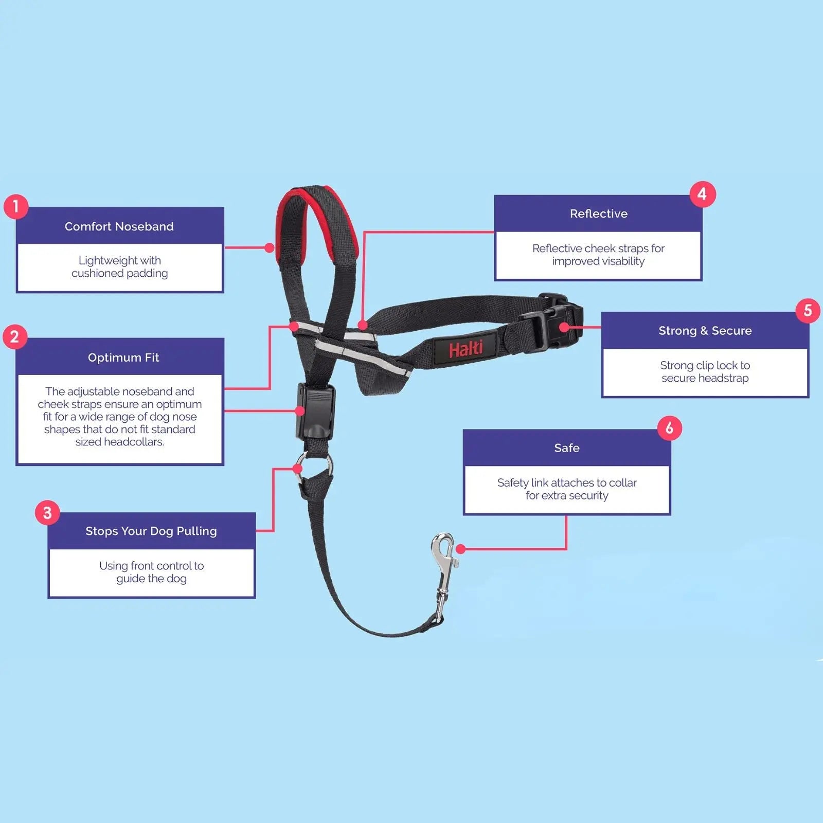The Company of Animals Halti Optifit Headcollar The Company of Animals