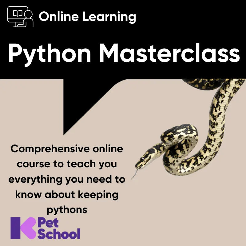 The Python Masterclass - Kellyville Pets