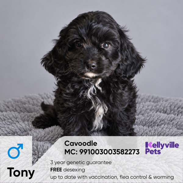 Tony