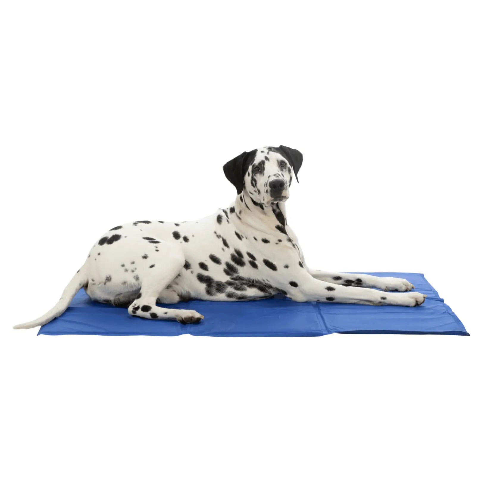 Trixie Pet Cooling Mat - Kellyville Pets