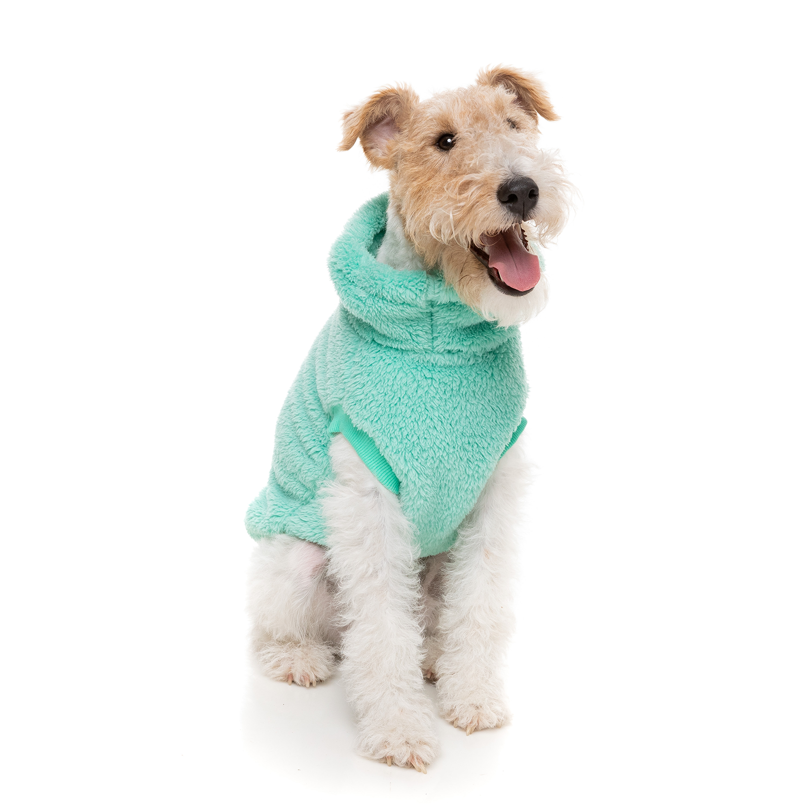 FuzzYard Dog Coat Turtle Teddy Sweater