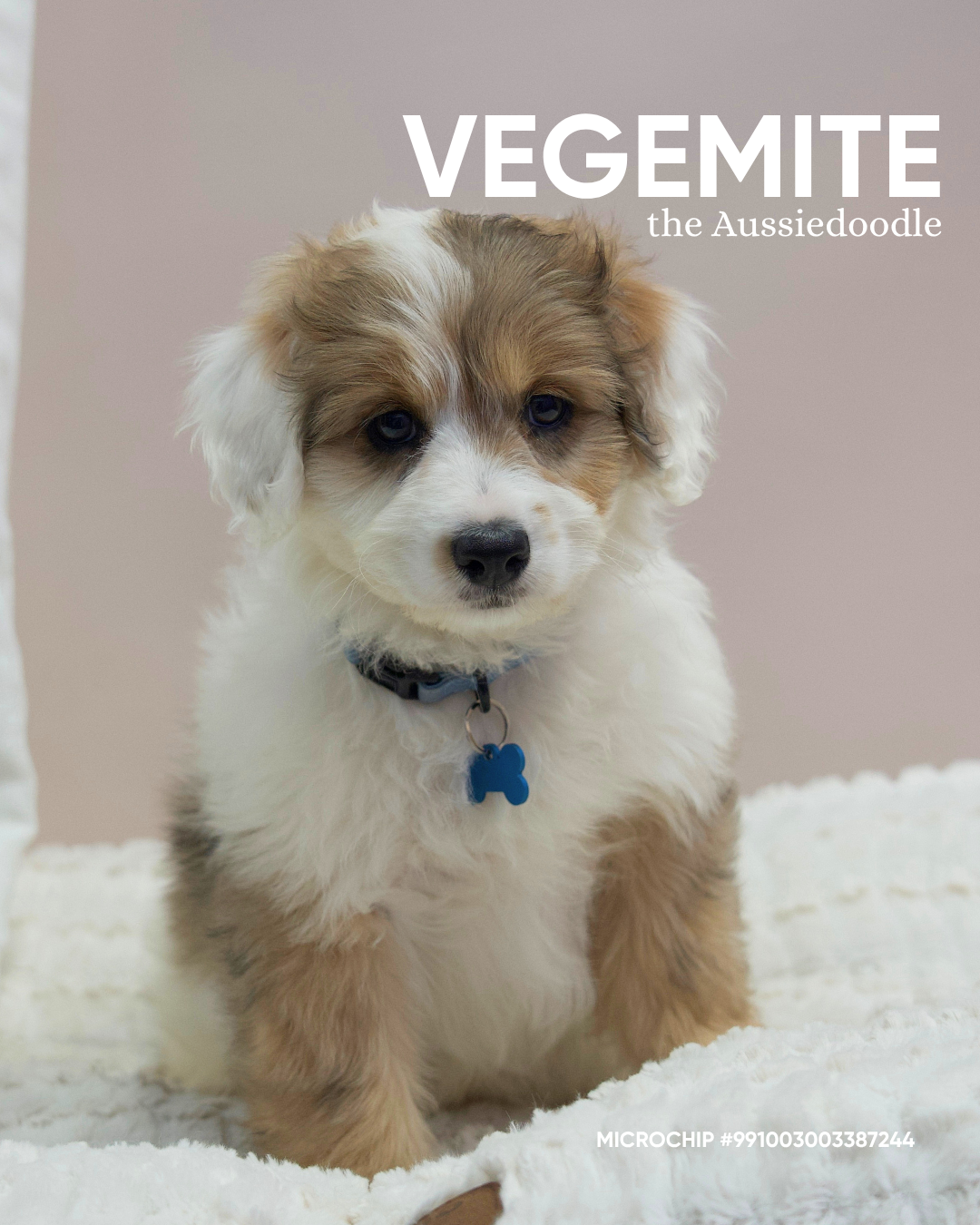 Vegemite