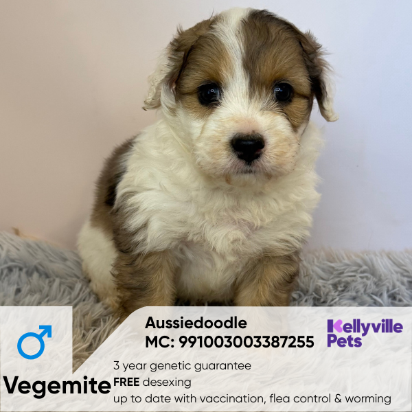 Vegemite