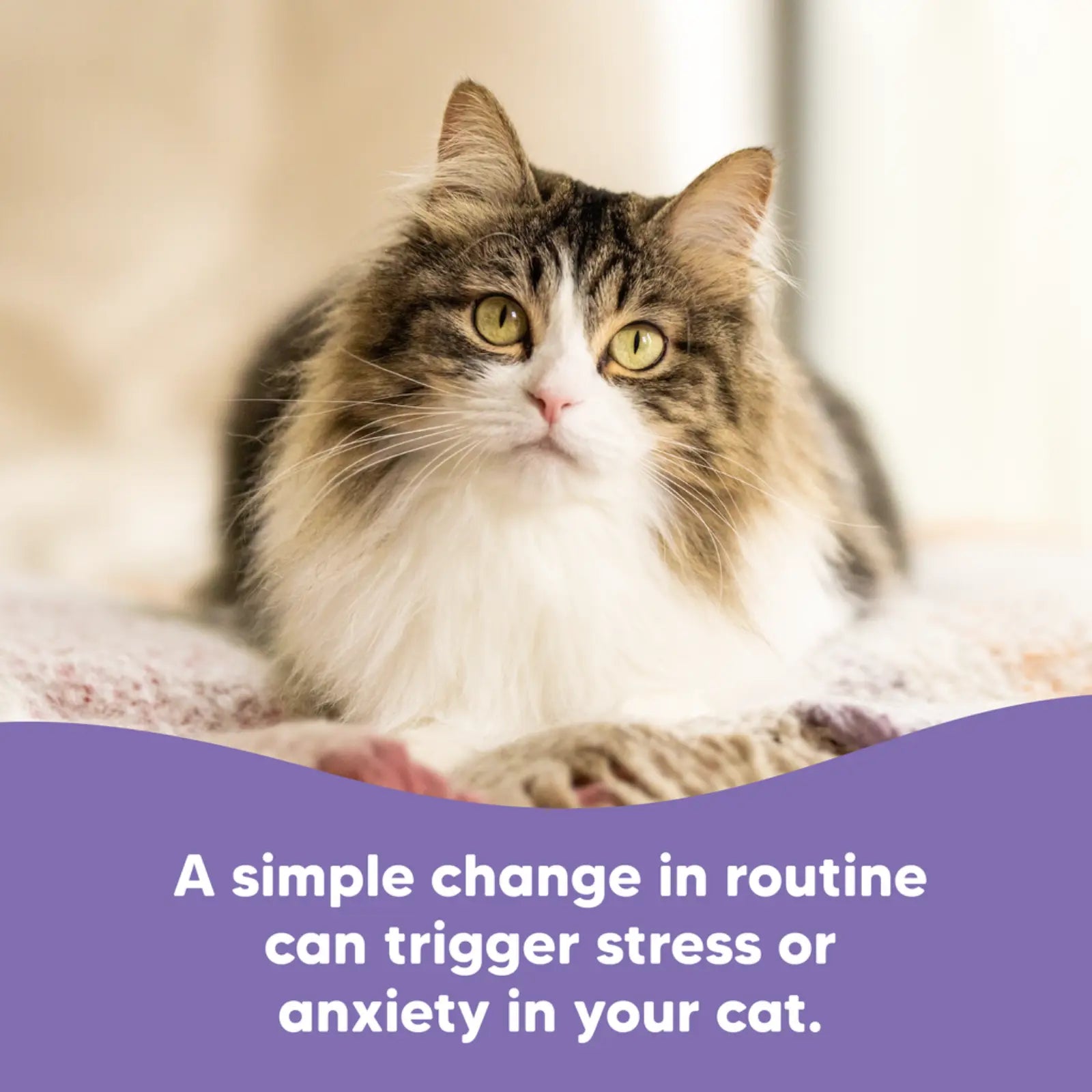 Vetafarm Lovebites B-Calm Chews for Cats 60 Pack Vetafarm