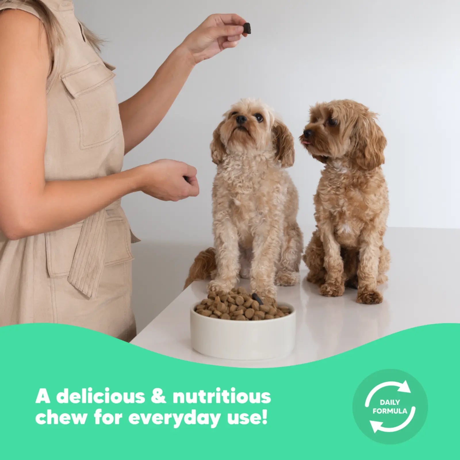 Vetafarm Lovebites FlexJoint Chews Vetafarm