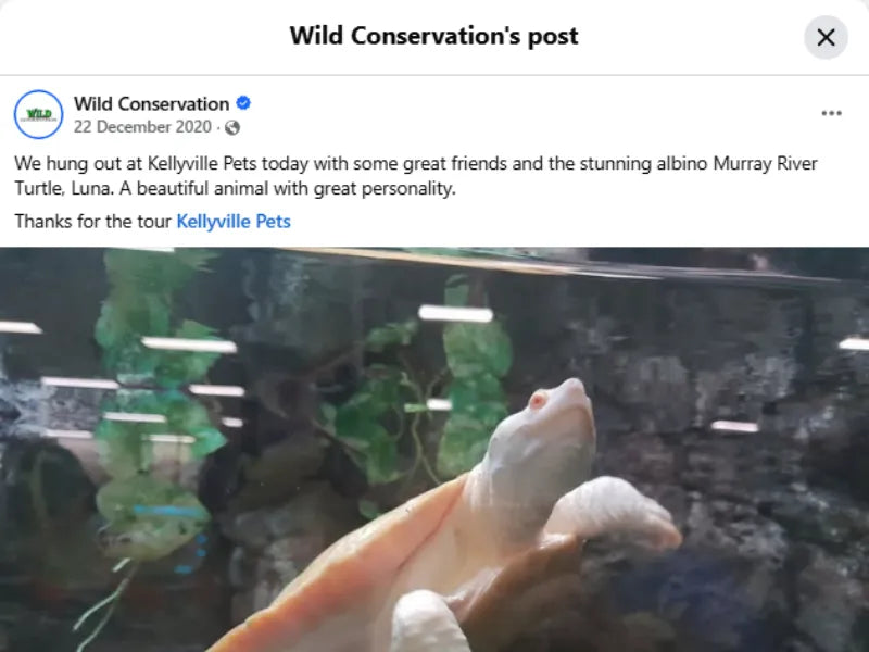 Store tour with Wild Conservation