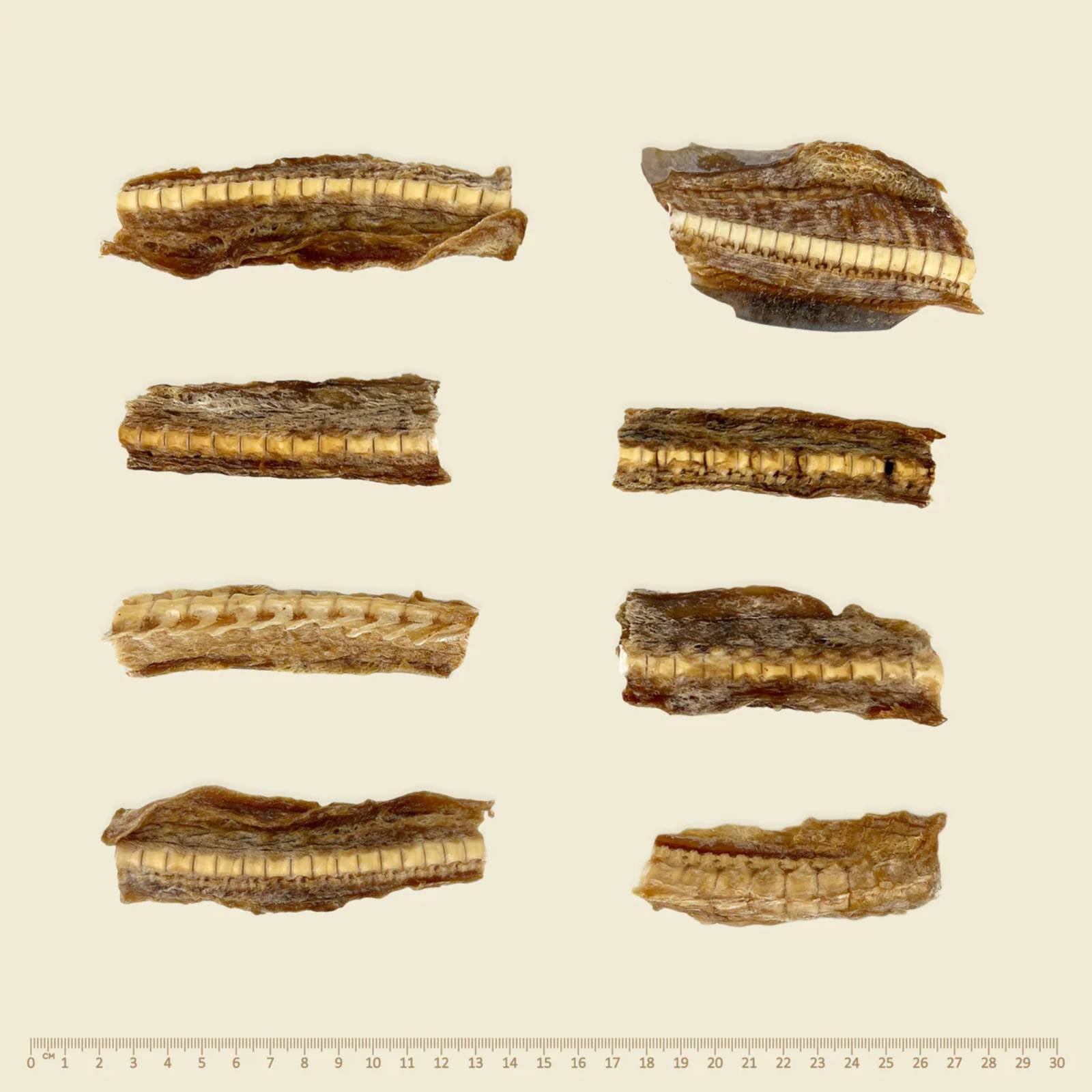 Wildkind Dog Treat Southern Ocean Shark Cartilage