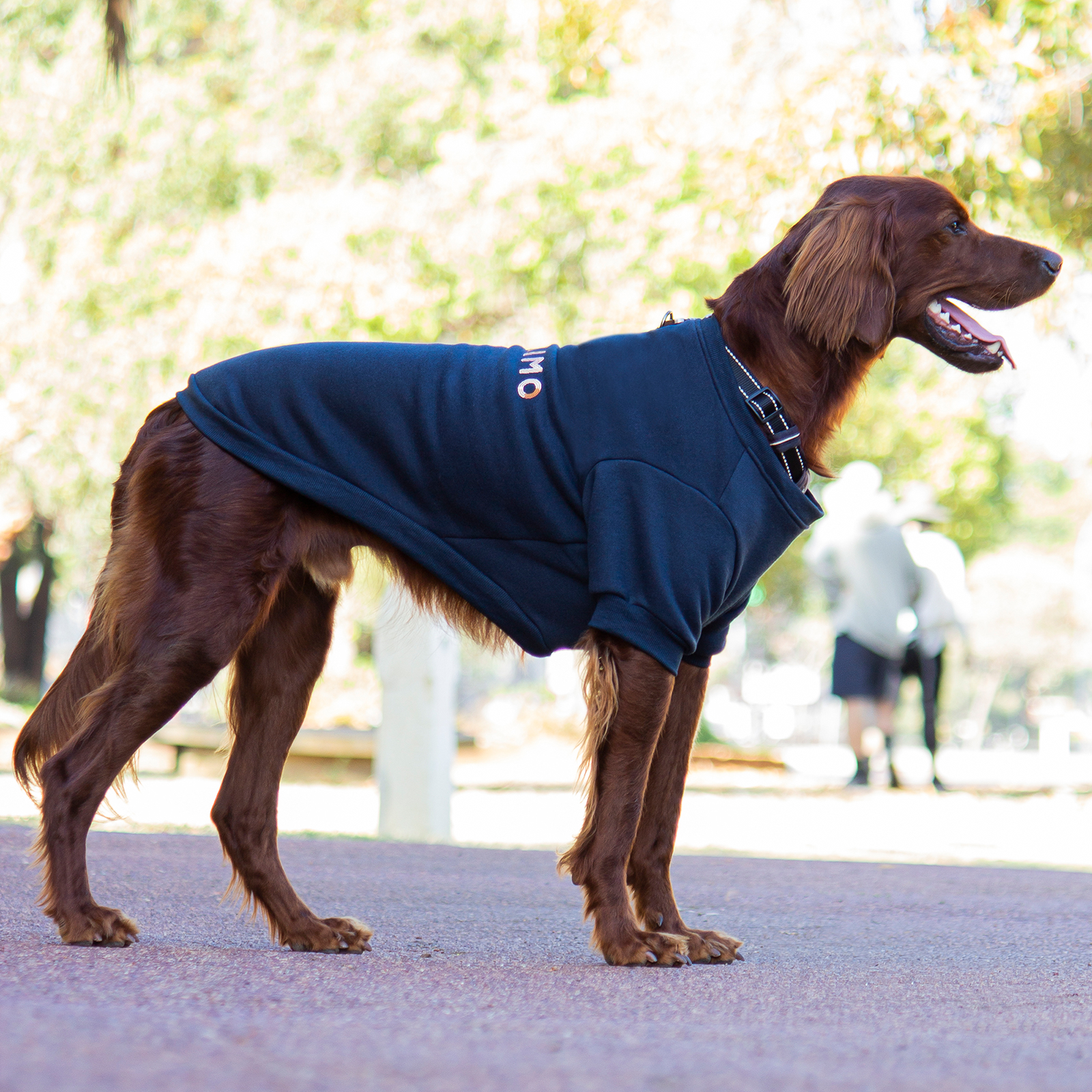 Huskimo Dog Coat Windbreaker Jacket