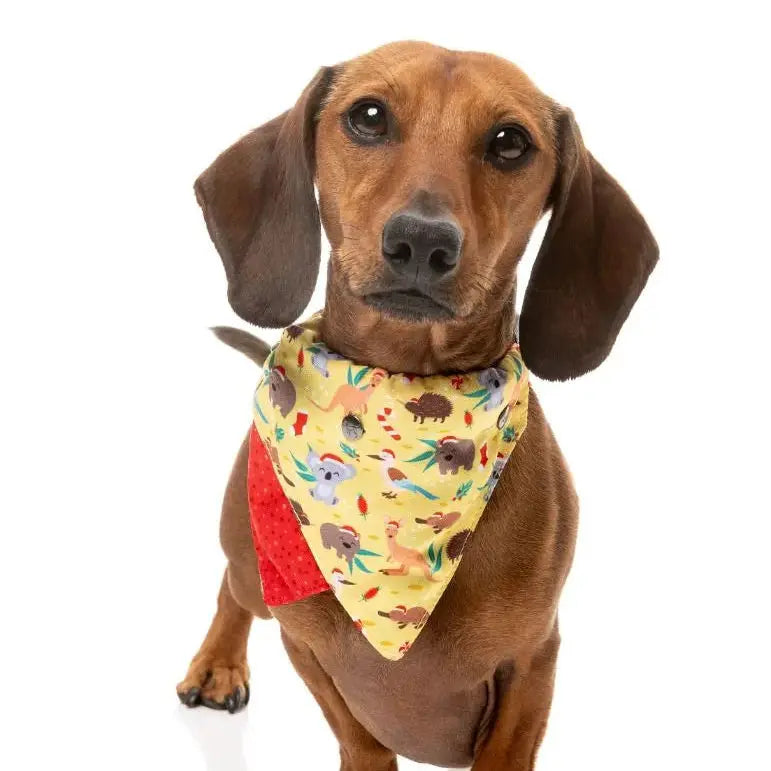 Xmas Bandana - Outback Wonderland Fuzzyard