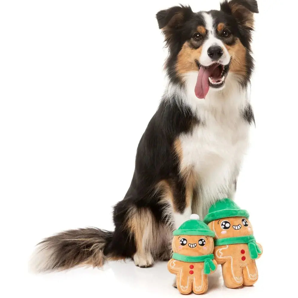 Xmas Holly Jolly Chillybread Dog Toy Fuzzyard