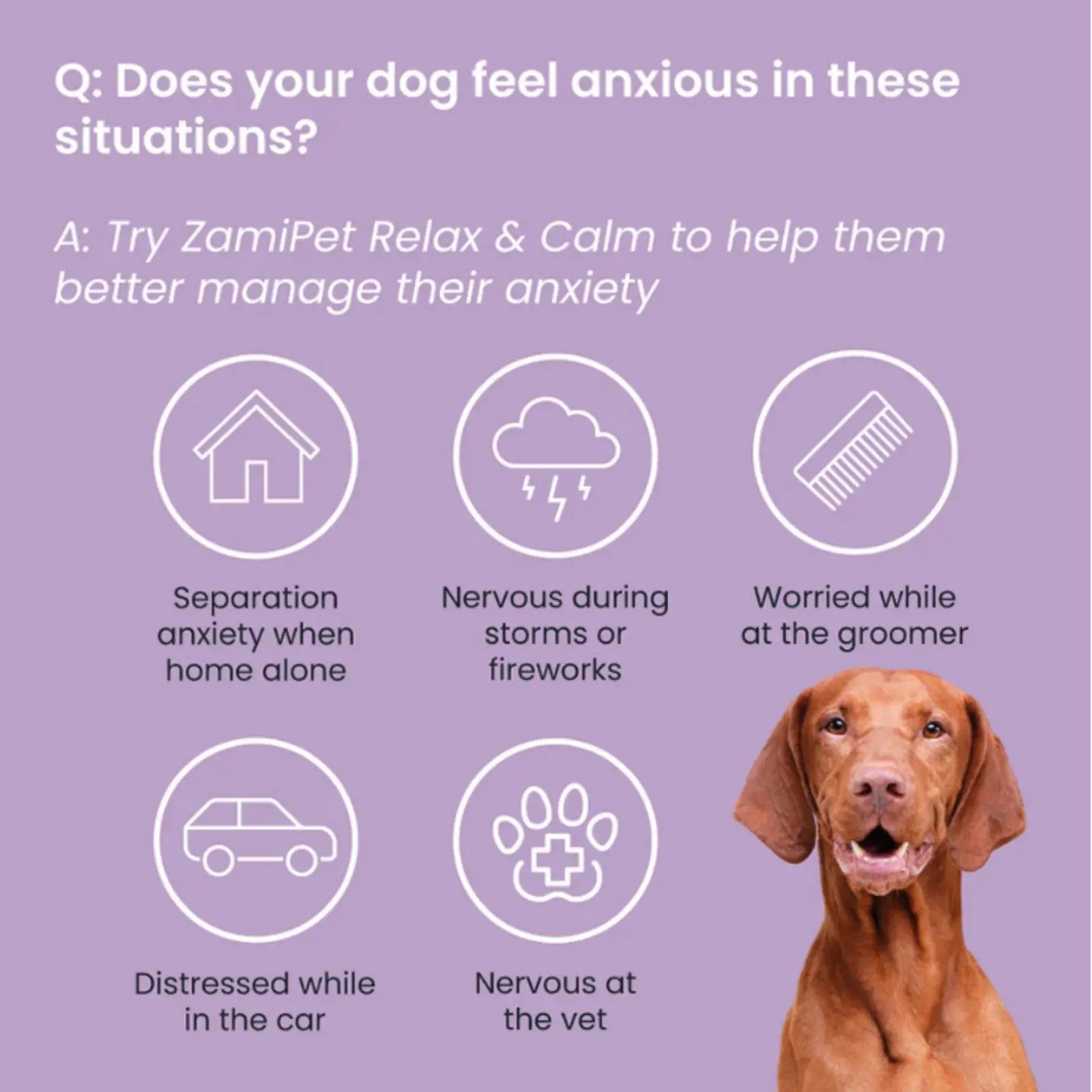 ZamiPet Probiotics Relax & Calm - 30 pack ZamiPet
