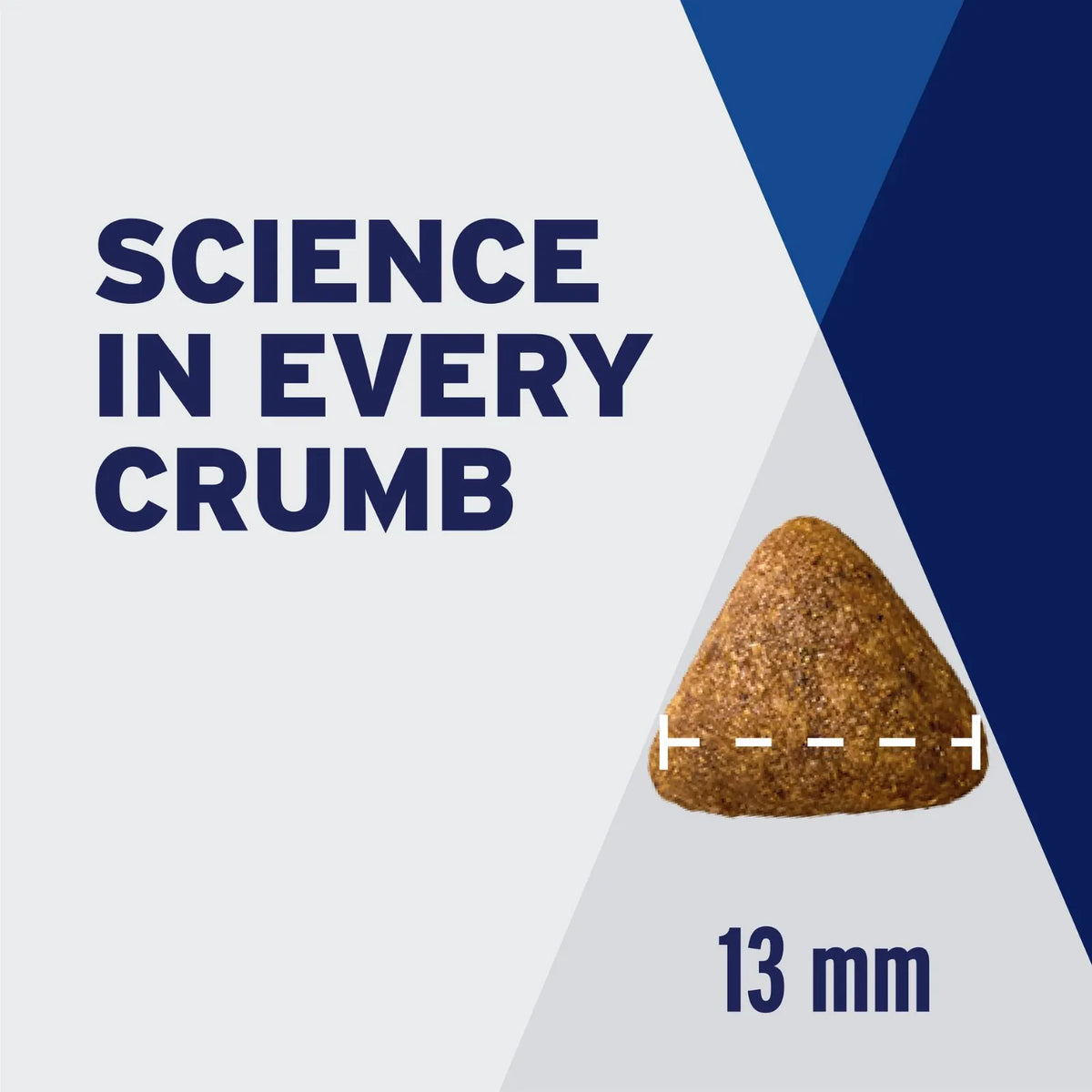 A graphic for Advance Adult Healthy Weight All Breeds Chicken and Rice dry dog food, emphasizing size and texture, featuring a brown triangular kibble piece with a dashed measurement line and the text '13 mm'. Large dark blue text reads 'SCIENCE IN EVERY CRUMB' on a split white and dark blue background.