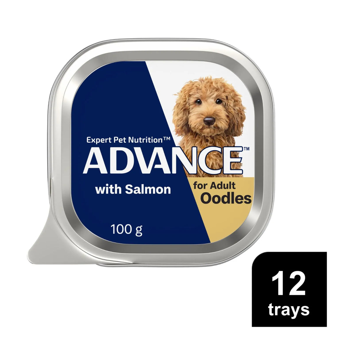 A single round can of ADVANCE with Salmon wet dog food for Adult Oodles, shown on a white background with a black '12 trays' badge in the lower right. The can features a navy blue and white label with a golden-yellow section and a photo of a fluffy brown dog.