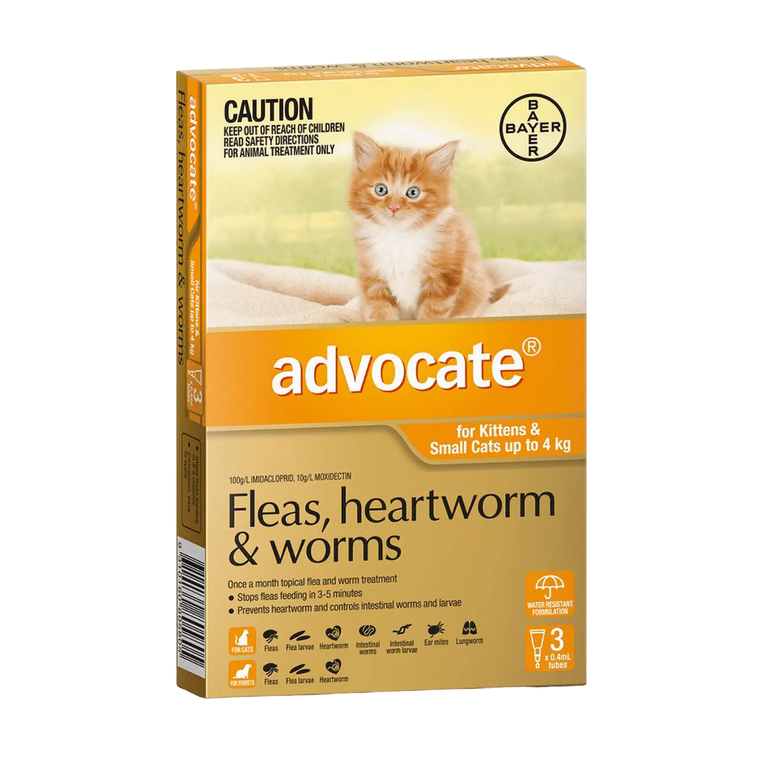 Advocate for Kittens and Small Cats Orange Up to 4kg - Kellyville Pets