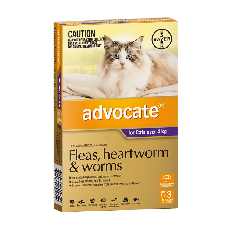 Advocate for Large Cats Purple Over 4kg - Kellyville Pets