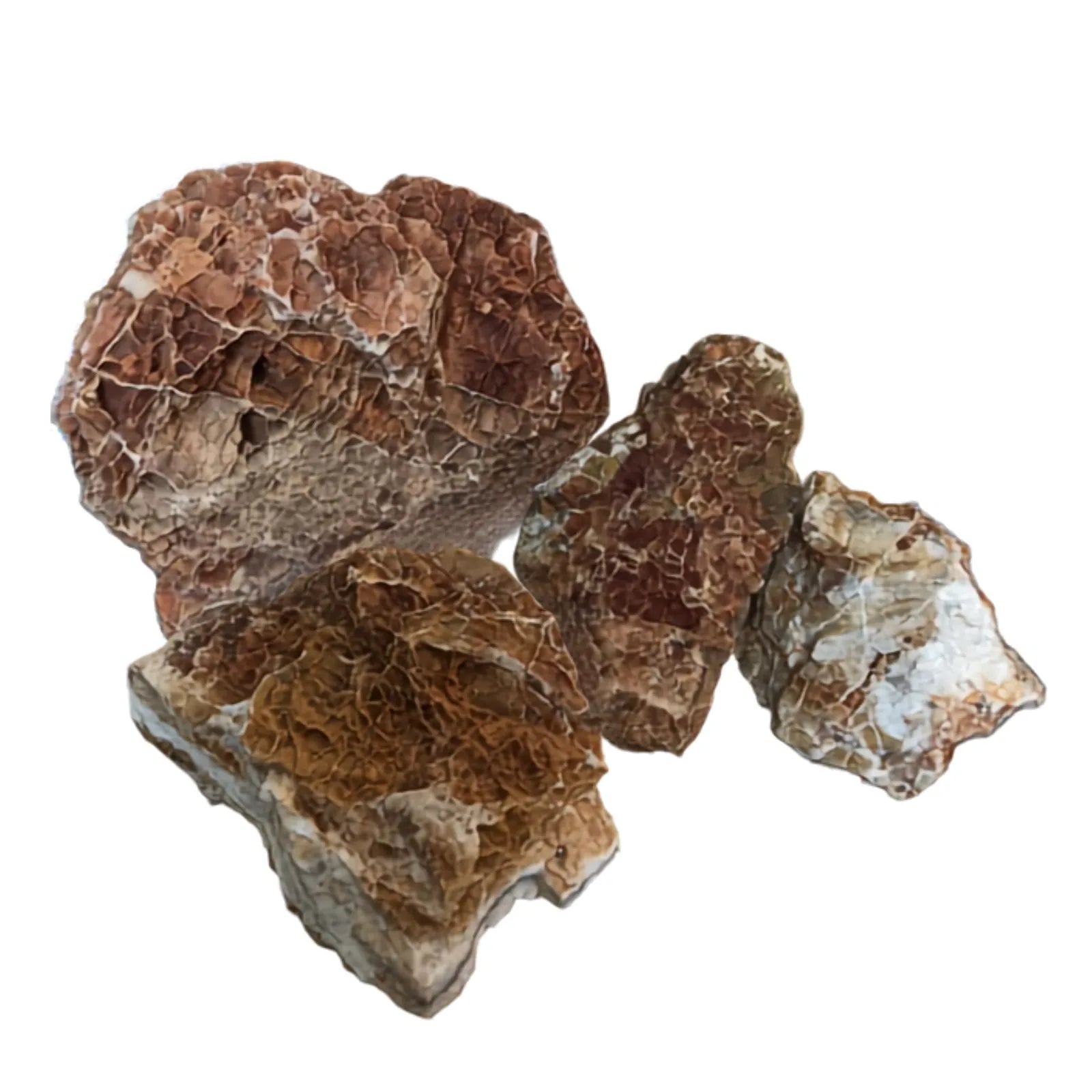AP Naturals Maple Leaf Stone - Per Kilo