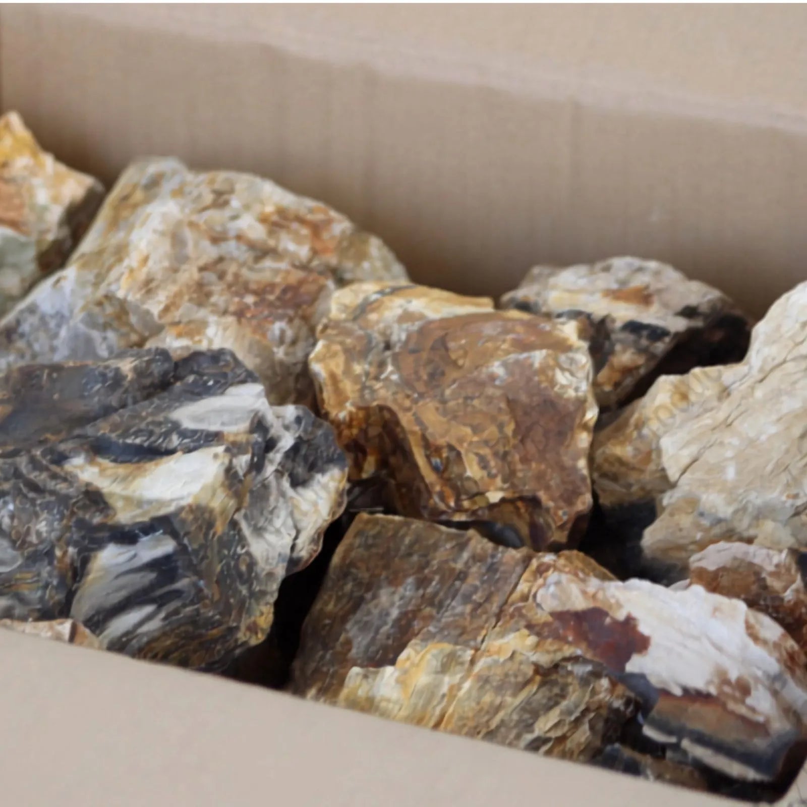 AP Naturals Petrified Wood Stone - Per Kilo