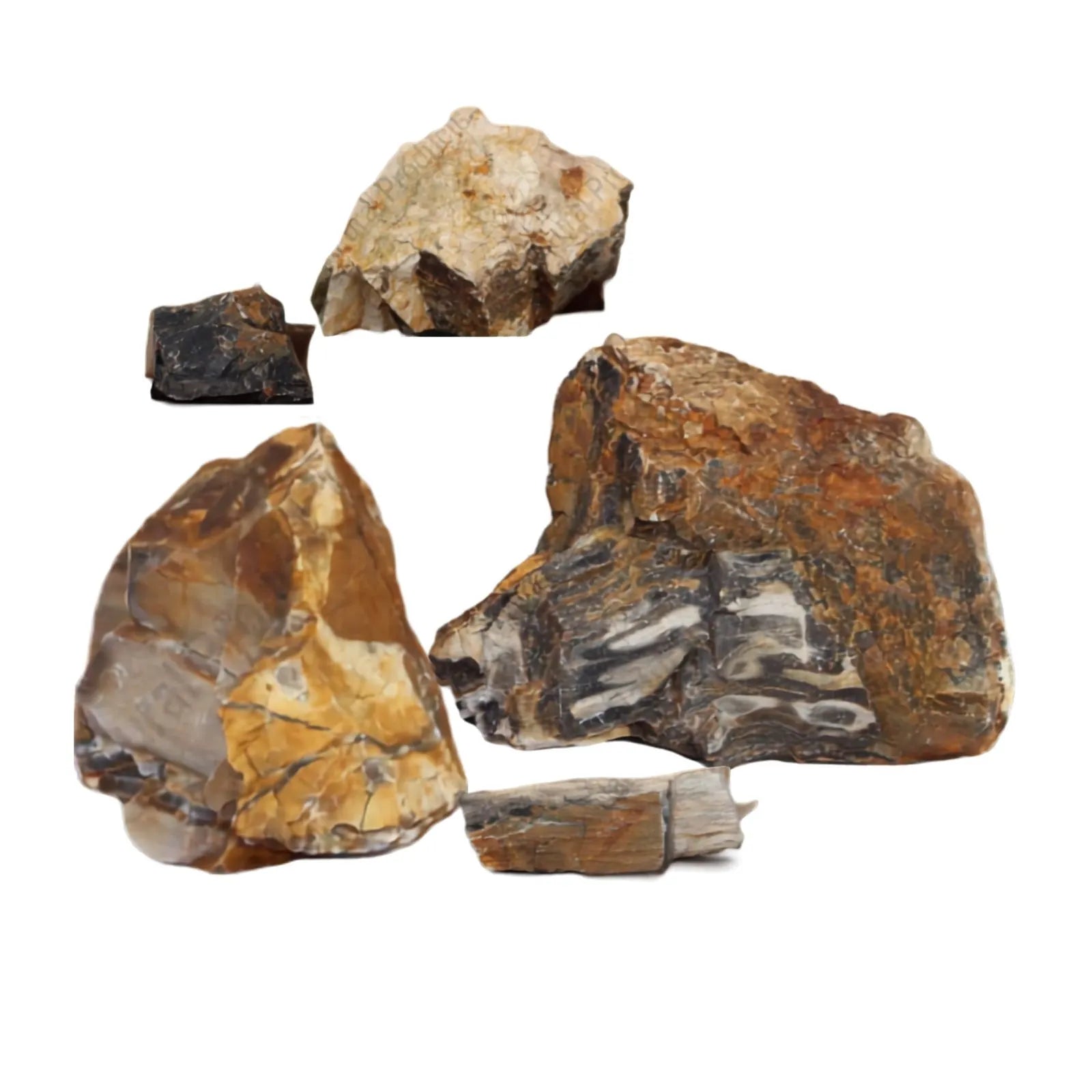 AP Naturals Petrified Wood Stone - Per Kilo