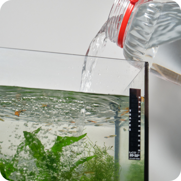 Additives & Water Conditioners