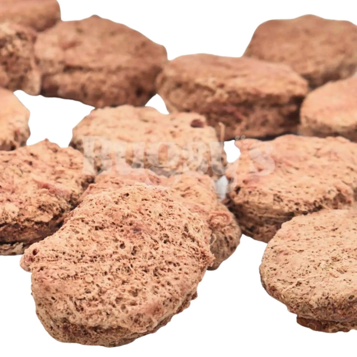 Bugsy's Freeze-Dried Energy & Stamina Kangaroo & Cordycepes Dog & Cat Treat