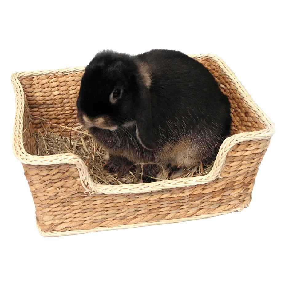 Chill N Snooze Small Animal Bed - Kellyville Pets