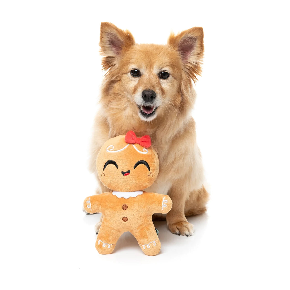 A small fluffy tan dog sits behind a plush FuzzYard Doughlilia gingerbread Christmas dog toy on a clean white studio background.