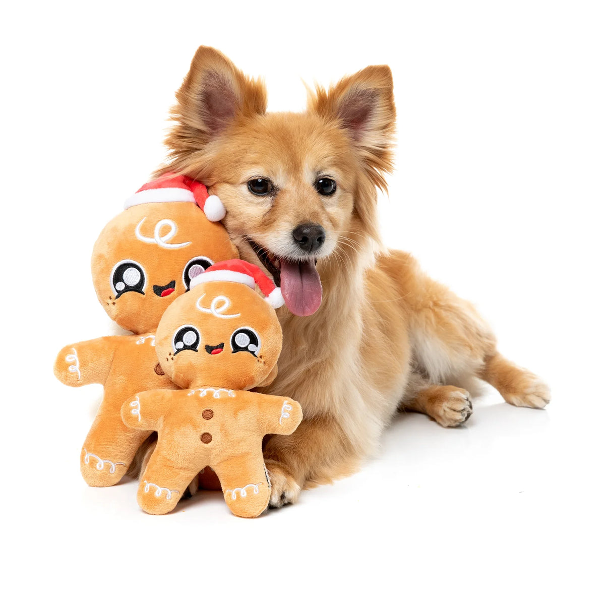 A small fluffy tan dog lying on a white background with two plush FuzzYard Doughminic gingerbread Christmas dog toys wearing Santa hats.