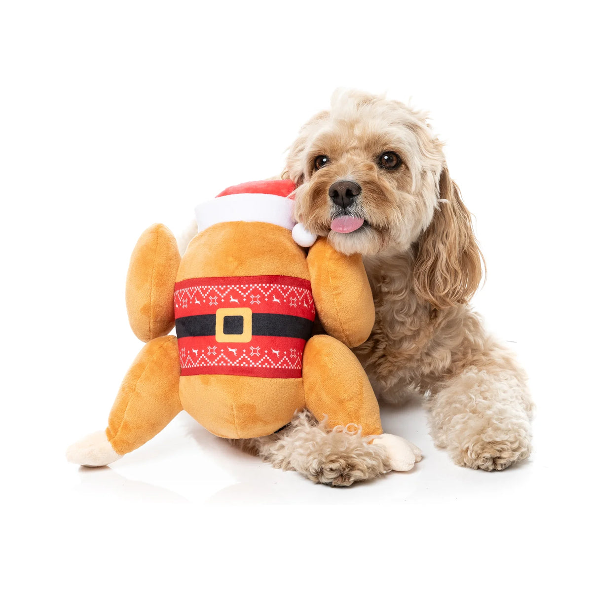 A fluffy light brown dog lying on a white studio background, holding a FuzzYard Fairisle Turkey plush Christmas dog toy shaped like a turkey dressed in a Santa hat and red patterned belt.