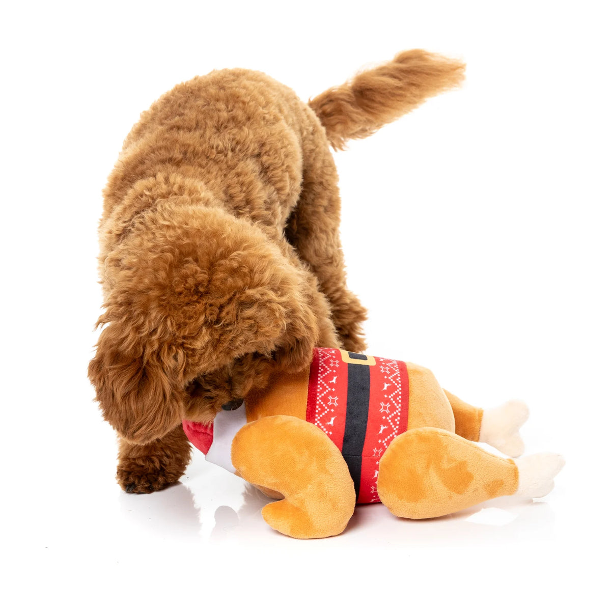 A brown curly-haired dog is playfully biting and nudging a FuzzYard Fairisle Turkey plush Christmas dog toy dressed as a turkey wearing a red holiday sweater and black belt, on a seamless white background.