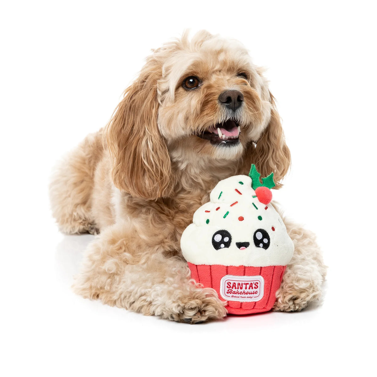 A fluffy light brown dog lies on a white studio background holding a FuzzYard Frosty The Cupcake plush Christmas dog toy with a red wrapper, white frosting, colorful sprinkles, and a green holly accent. The wrapper shows the brand name SANTA'S House of Treats.