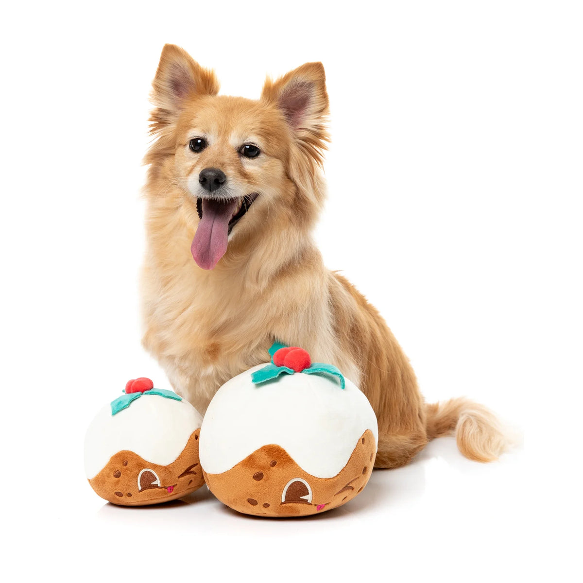 FuzzYard Christmas Hey Puddin' Dog Toy