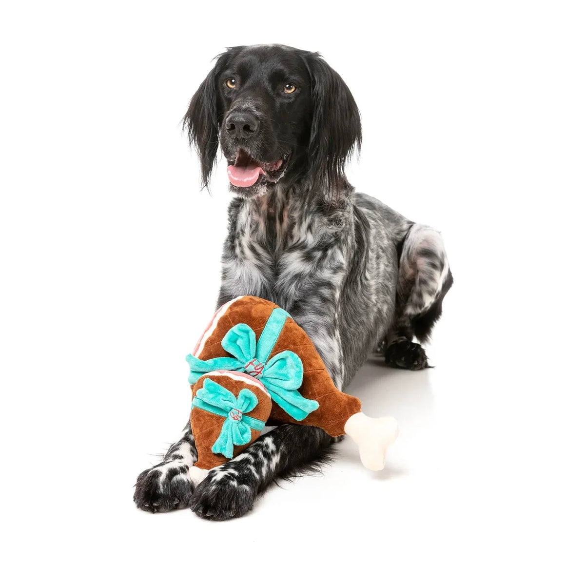 A black and white spotted dog lies on a white studio background holding a FuzzYard Christmas Humble Holiday Ham plush dog toy shaped like a drumstick with a turquoise ribbon and bow.