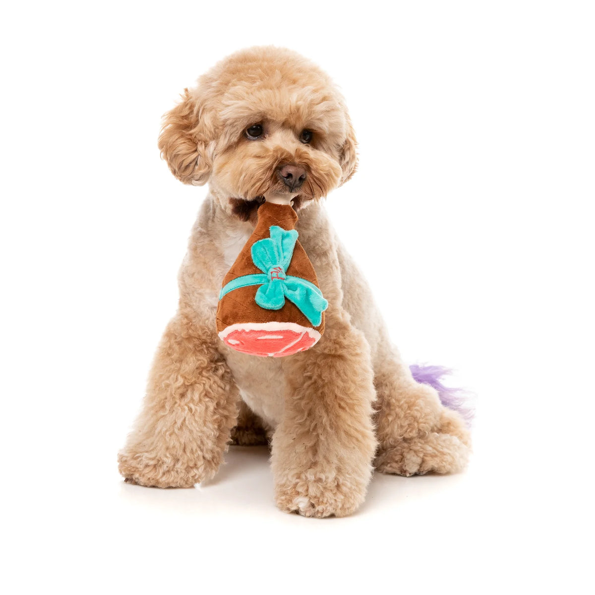A small fluffy tan dog sits on a white background holding a FuzzYard Christmas Humble Holiday Ham plush dog toy shaped like a brown shoe with a turquoise bow and a red circular accent.