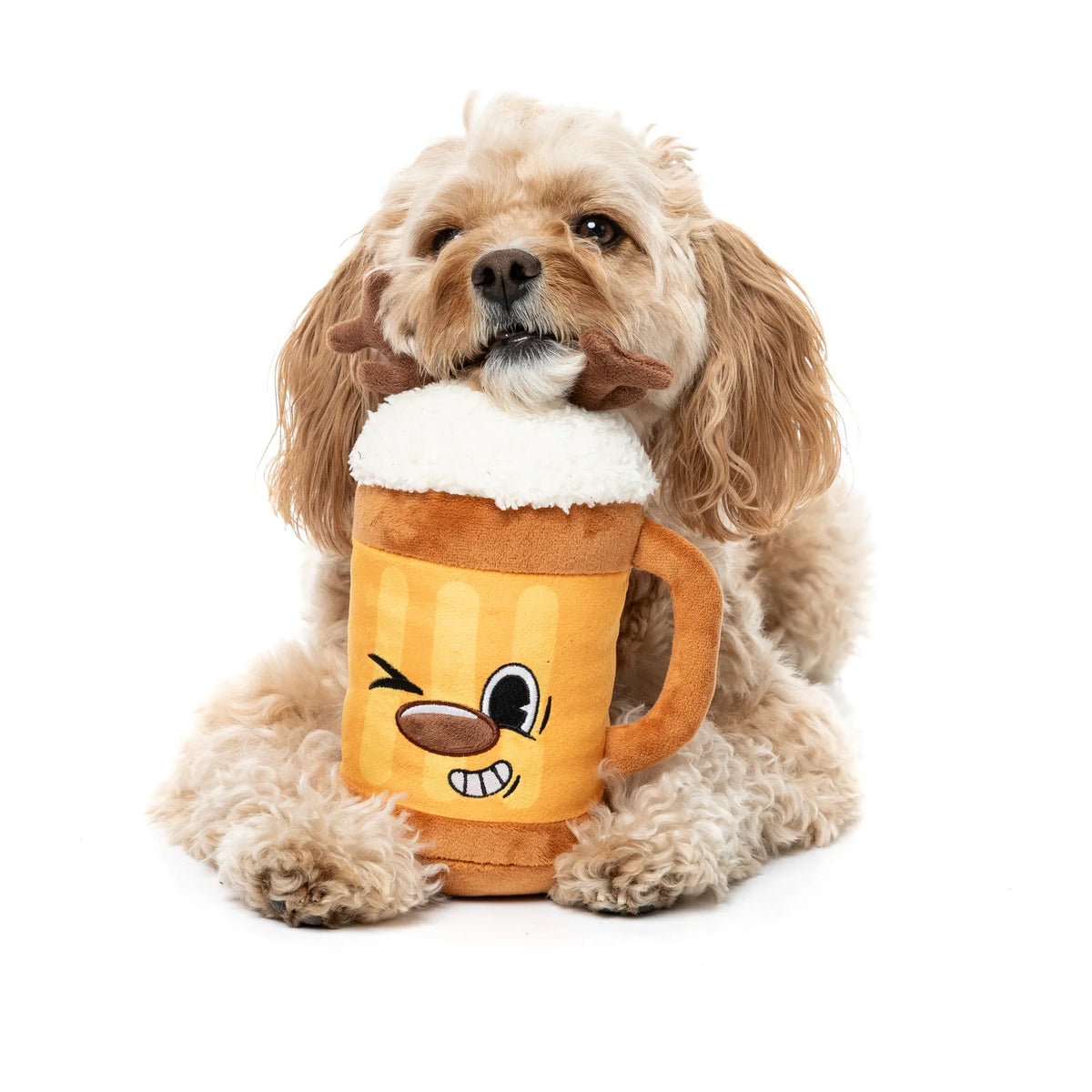 A small fluffy tan dog sits on a white background holding a plush FuzzYard Jolly Reinbeer reindeer Christmas dog toy shaped like a beer mug with a cartoon face and white faux-froth top.