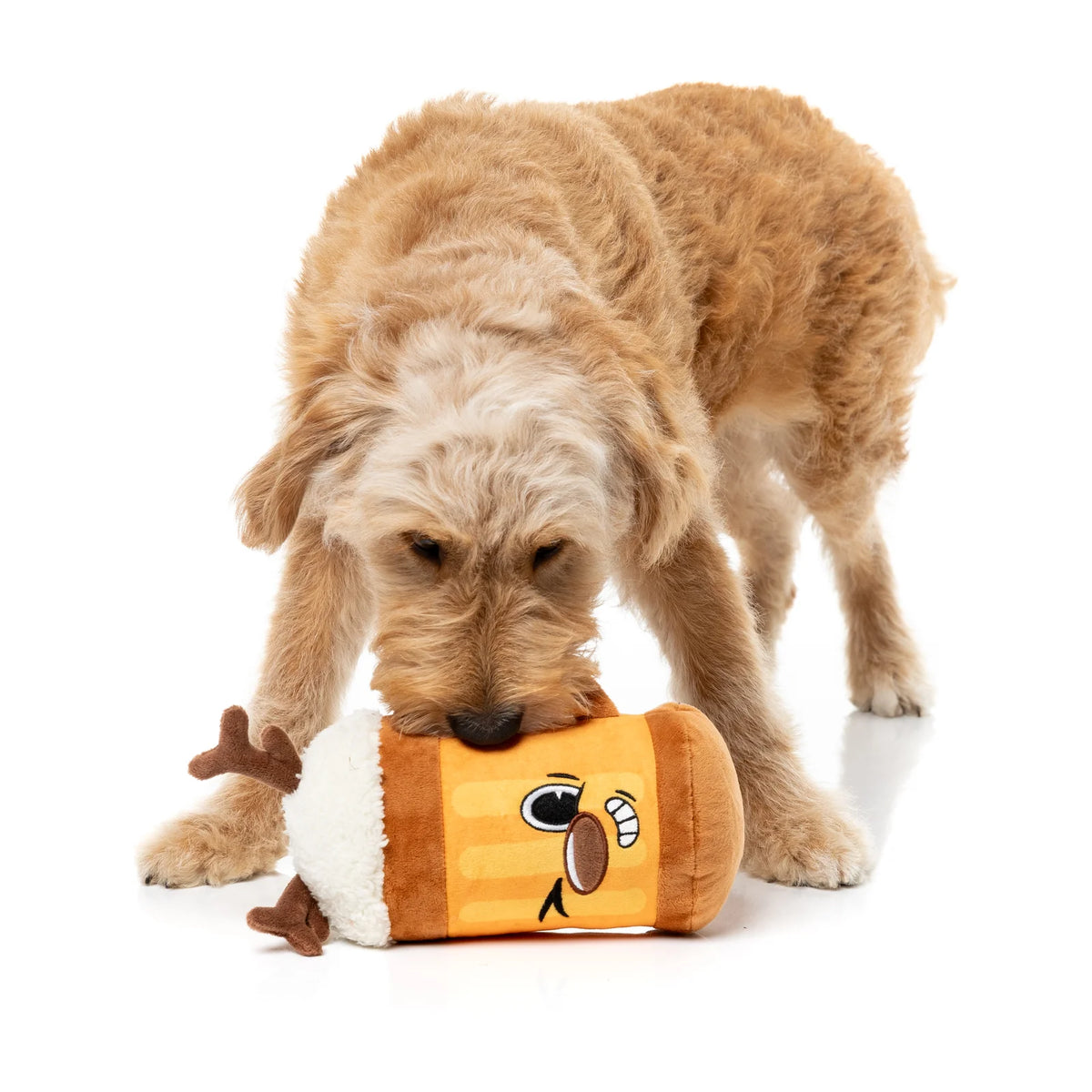 A golden doodle dog playing with a plush FuzzYard Jolly Reinbeer reindeer Christmas dog toy shaped like a beer mug on a clean white background.